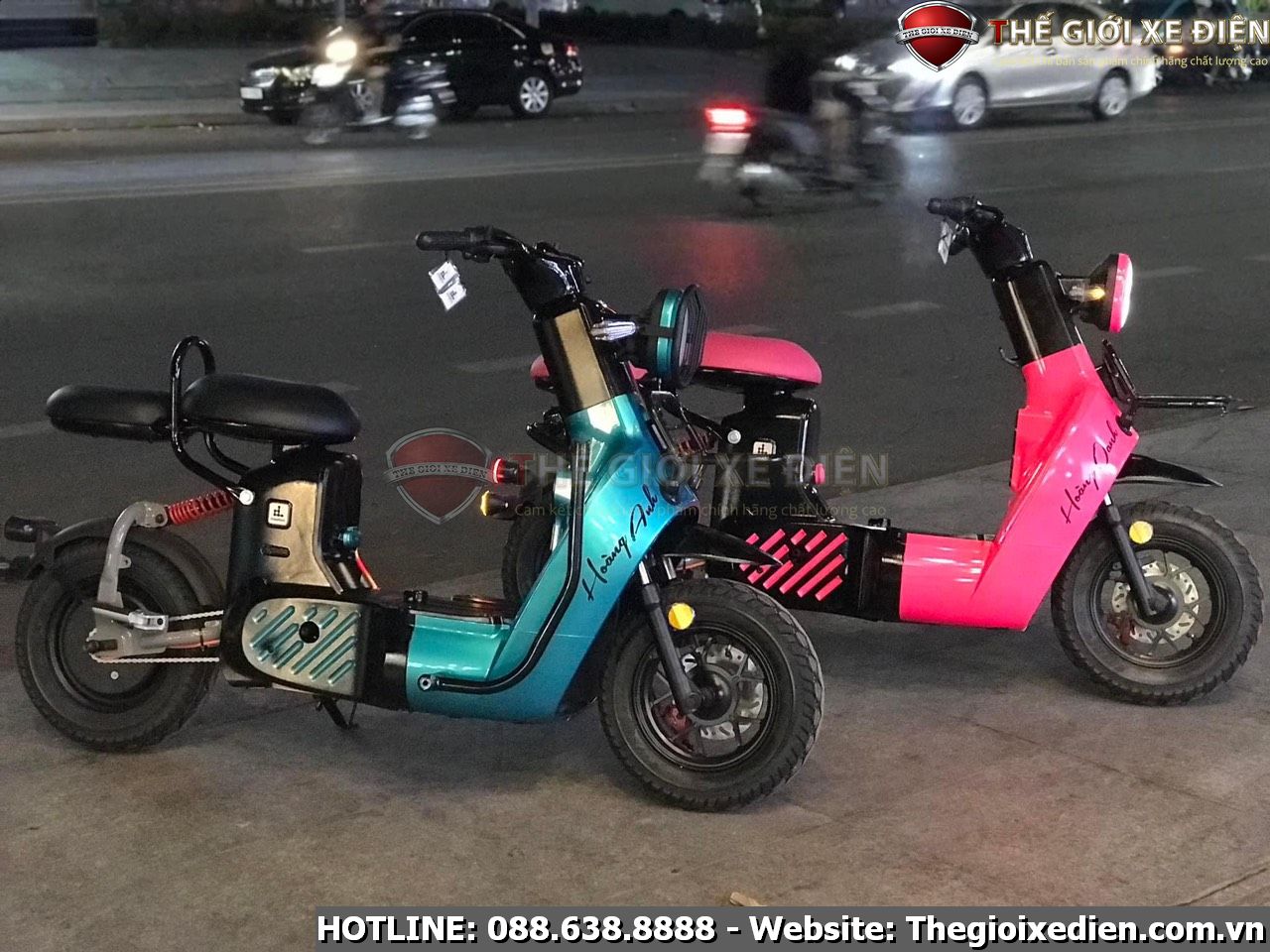xe đạp điện type 2 discovery