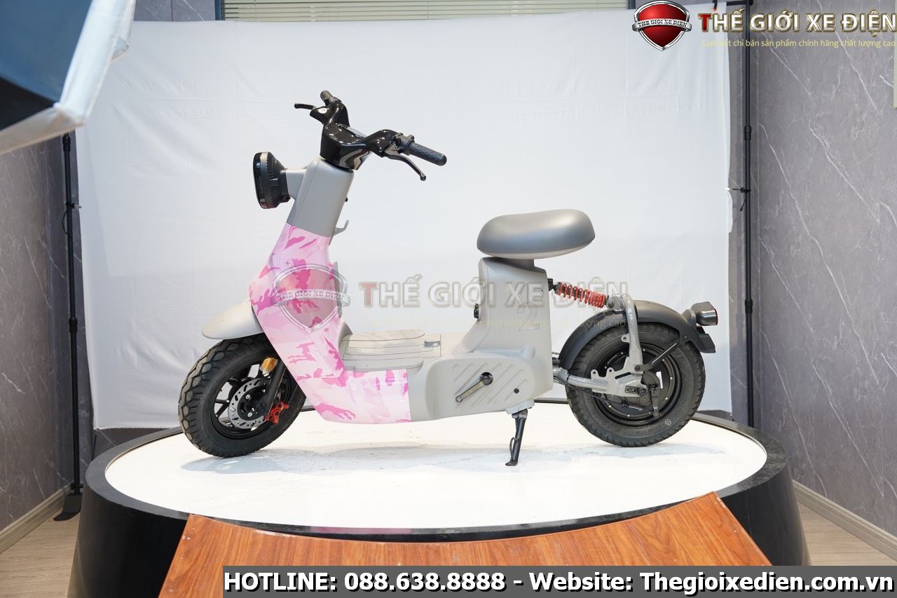 xe đạp điện type 2 discovery