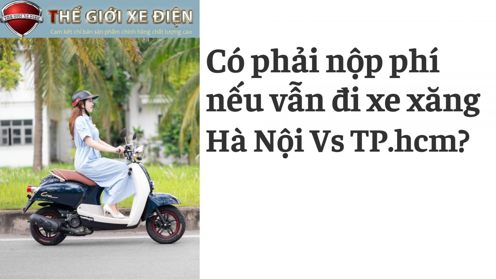 có phải nộp phí nếu vân đi xe xăng ở hà nội và tphcm