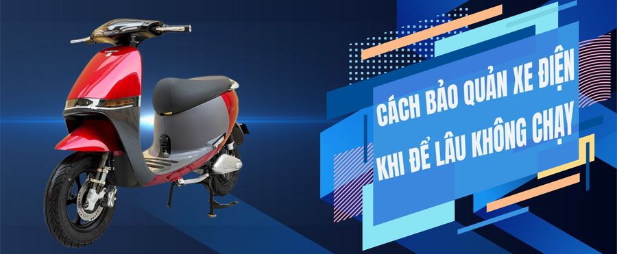 xe điện để lâu không chạy