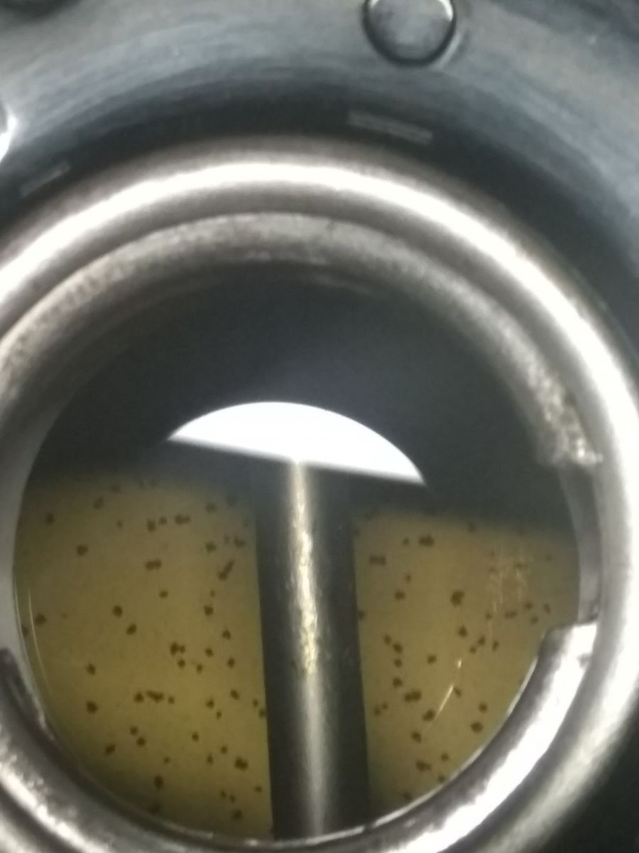 xăng e10 ảnh hưởng tới xe máy 50cc không