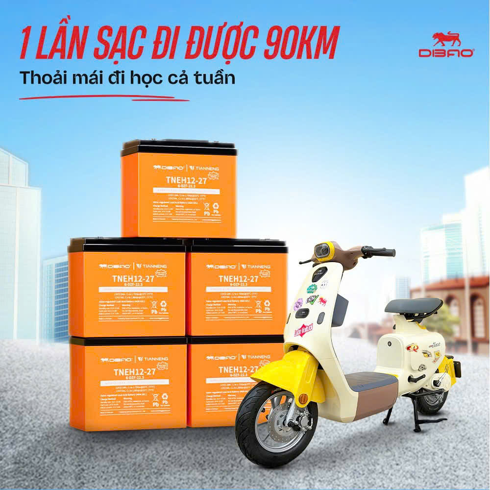 Độ Xe Điện Tốn Bao Nhiêu Tiền