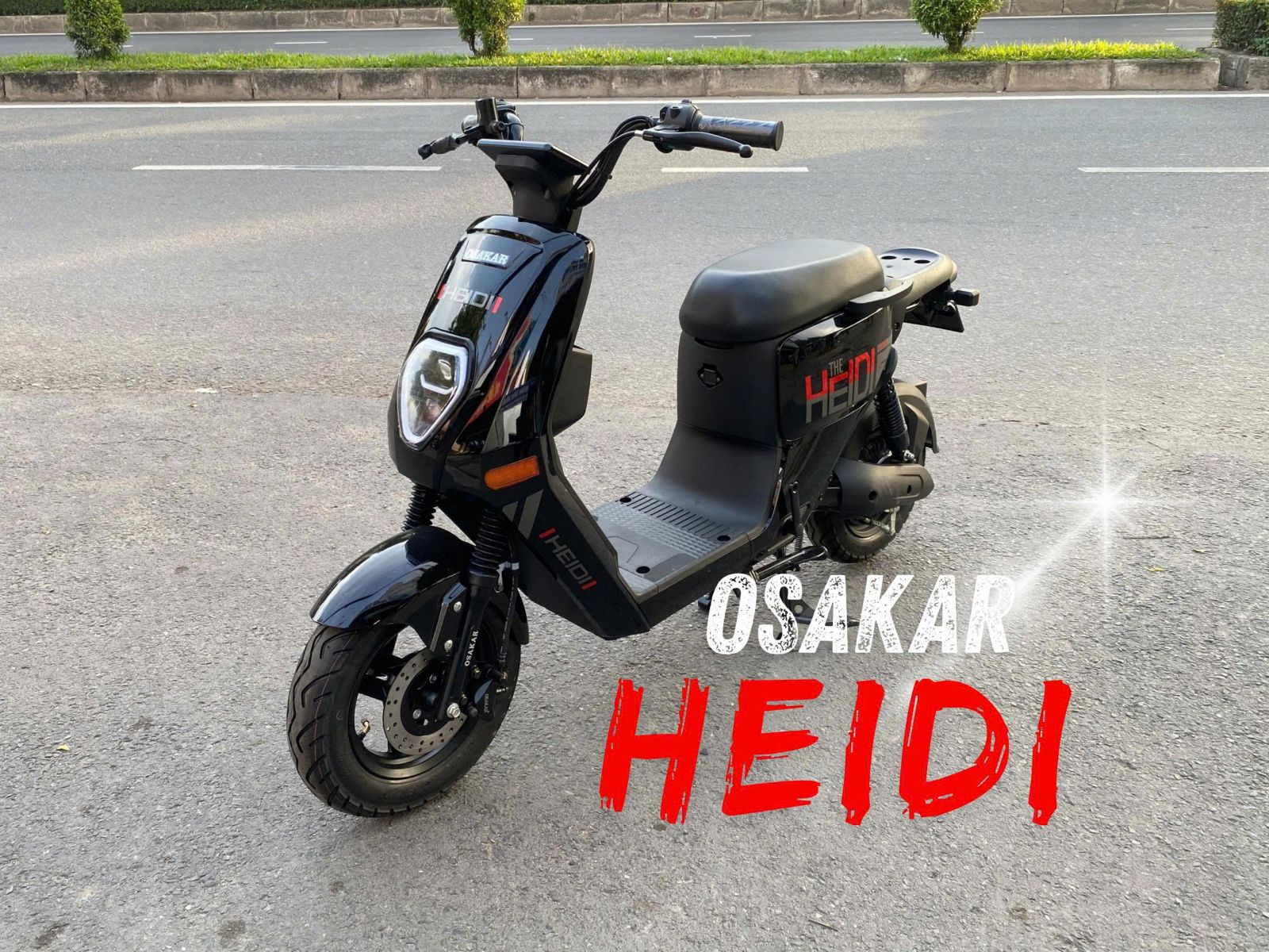 Osakar Heidi