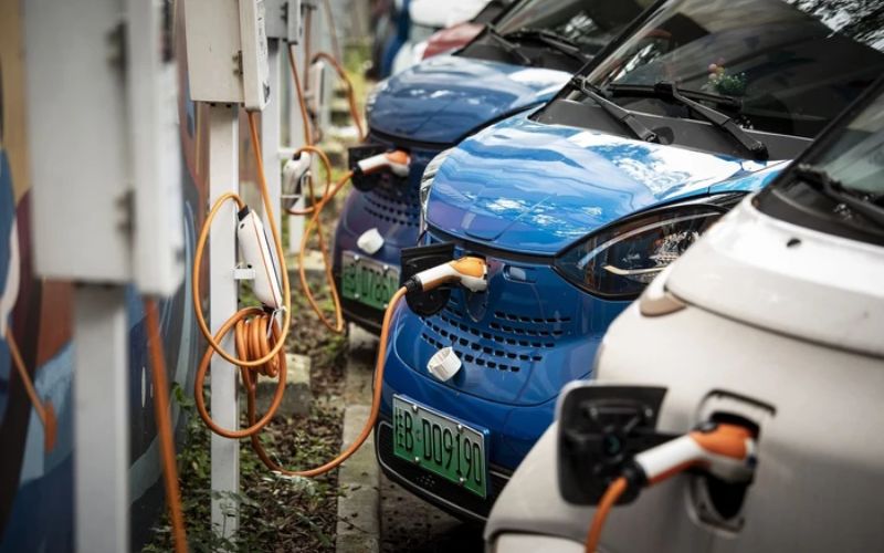 Chặng đường dài 24 năm từ ý tưởng đến hệ sinh thái hoàn chỉnh