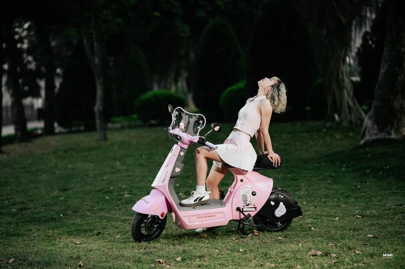 xe đạp điện DK Bike V1