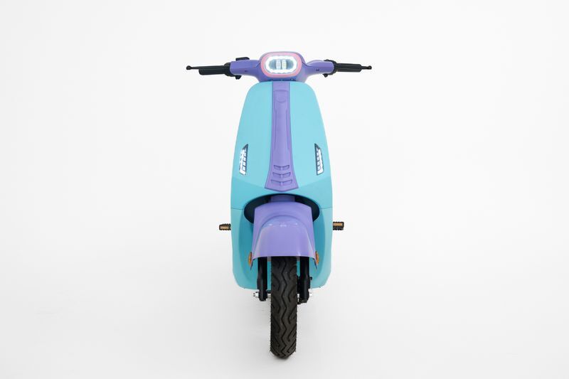 xe đạp điện DK Bike V1