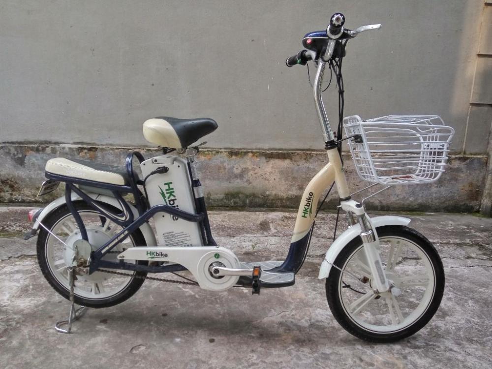 xe đạp điện Zinger Extra