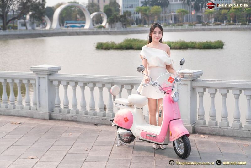 xe đạp điện TailG