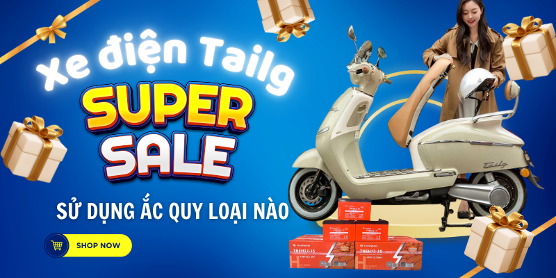 Xe điện Tailg sử dụng ắc quy loại nào
