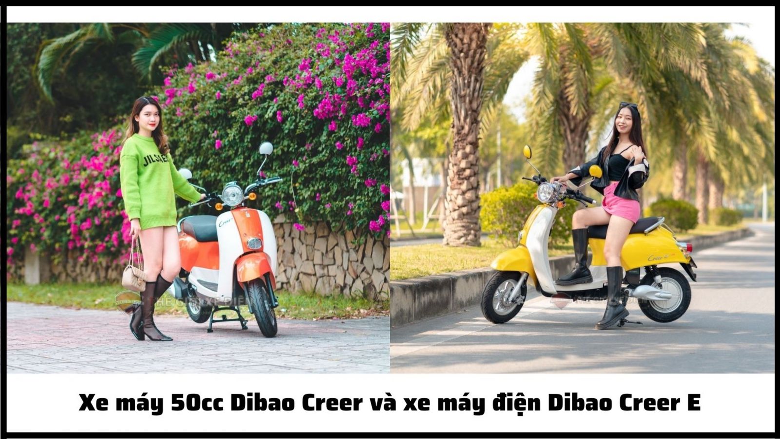 Xe máy 50cc Dibao Creer và xe máy điện Dibao Creer E