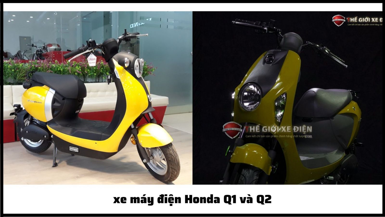 Xe máy điện Honda Q1 và Q2