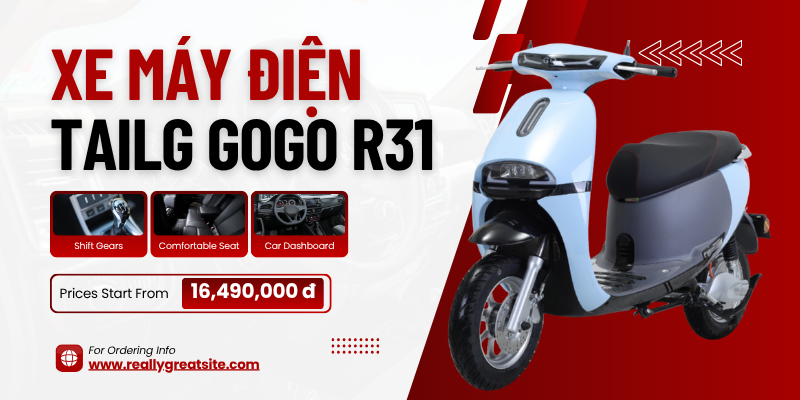 Xe máy điện Tailg Gogo R31