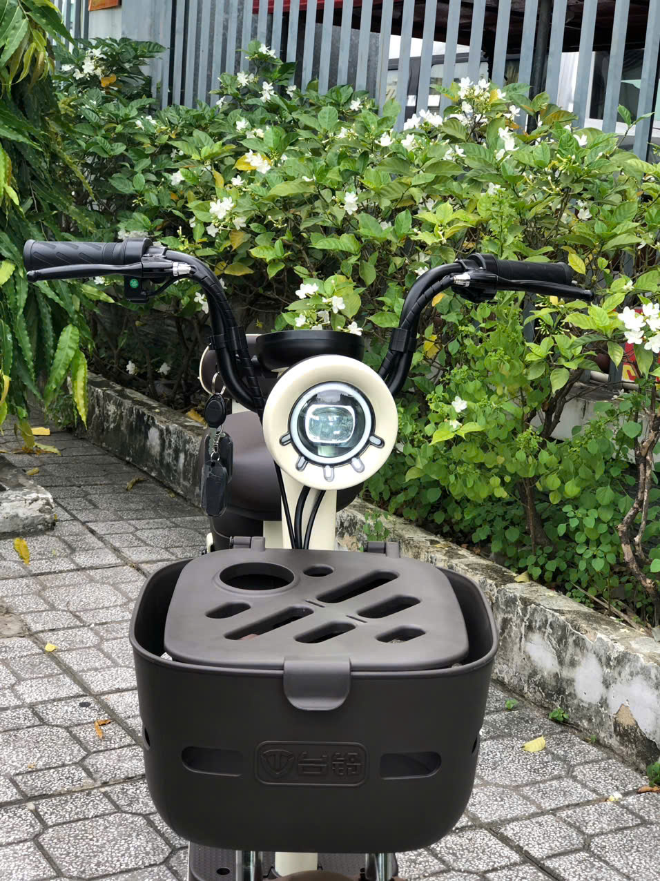 Địa chỉ mua xe đạp điện cho con học cấp 2 uy tín