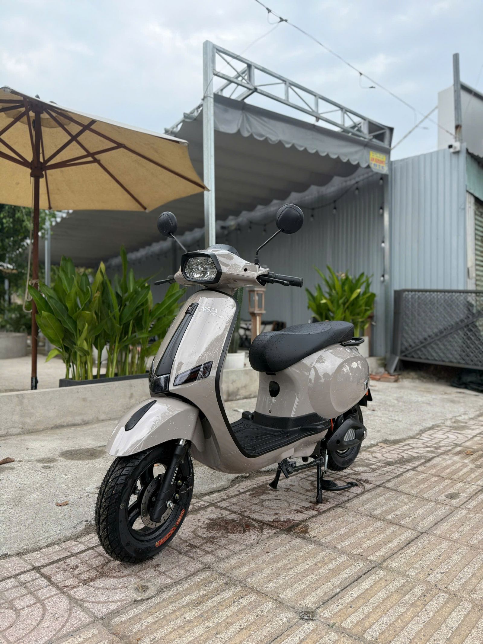 Nhiều người chốt xe điện tại Thế Giới Xe Điện khi giá xăng tăng liên tục