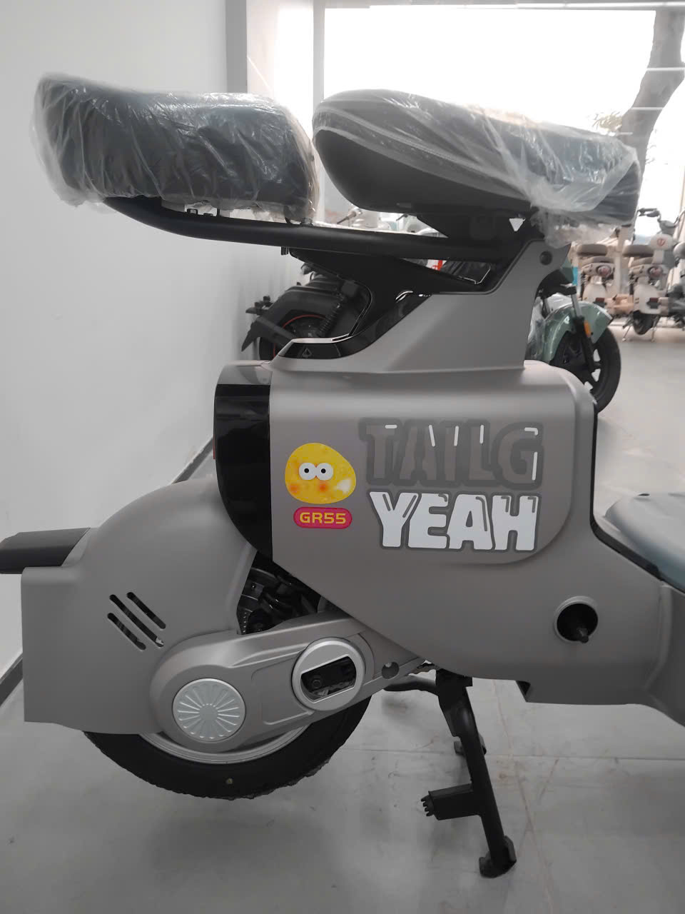 Phân vân giữa 3 lựa chọn xe đạp điện Tailg GR54, GR55 và GR56