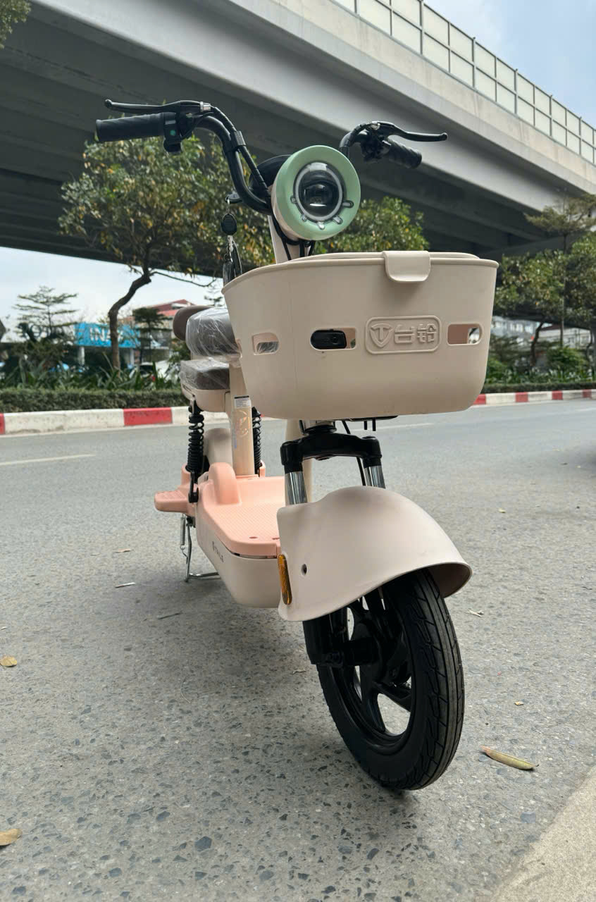 Năm 2026 là năm con gì, mệnh gì? Xu hướng chọn xe điện trong năm Bính Ngọ