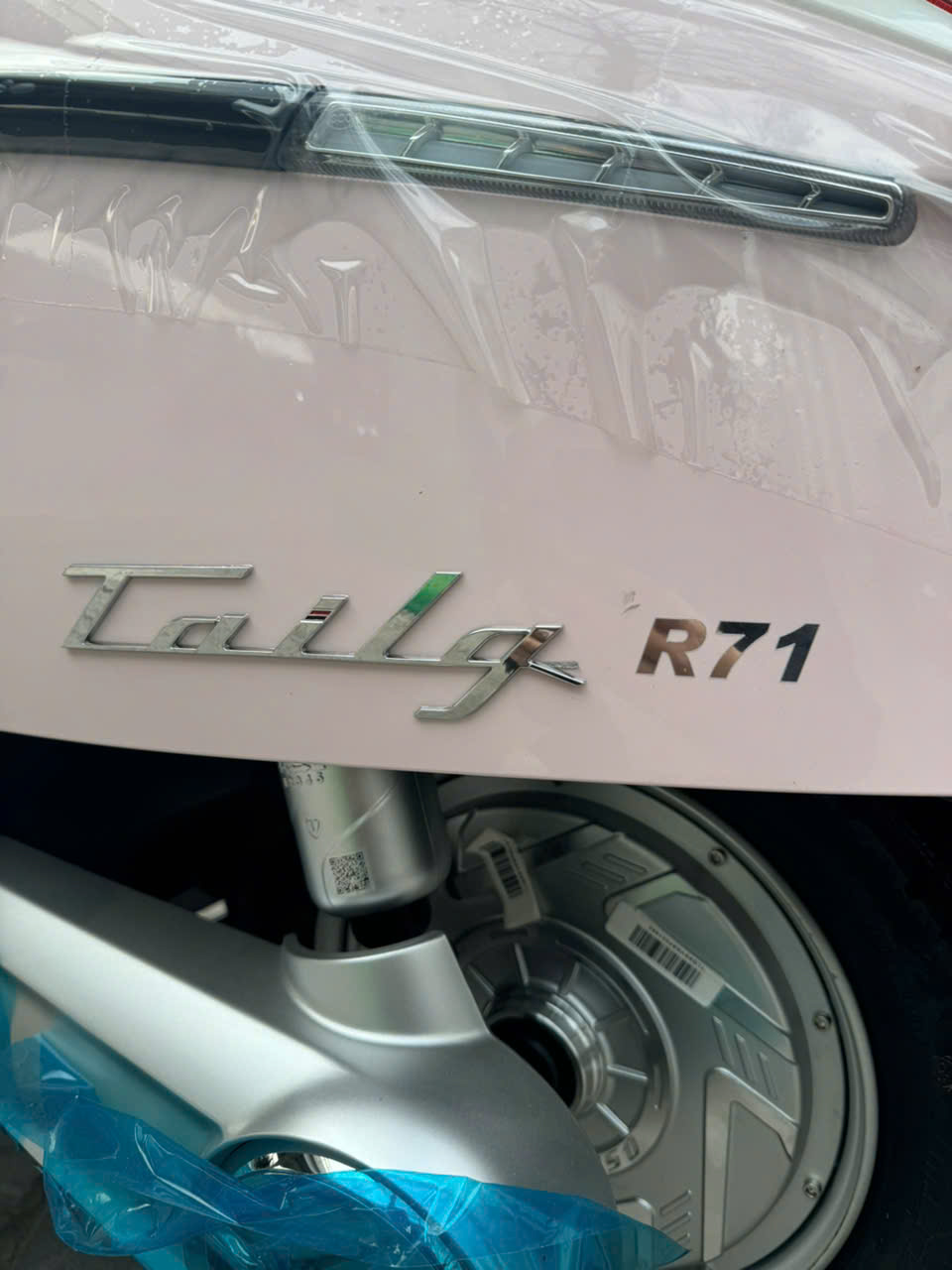 Trải nghiệm xe điện được Việt Hóa tính năng trên Tailg R71