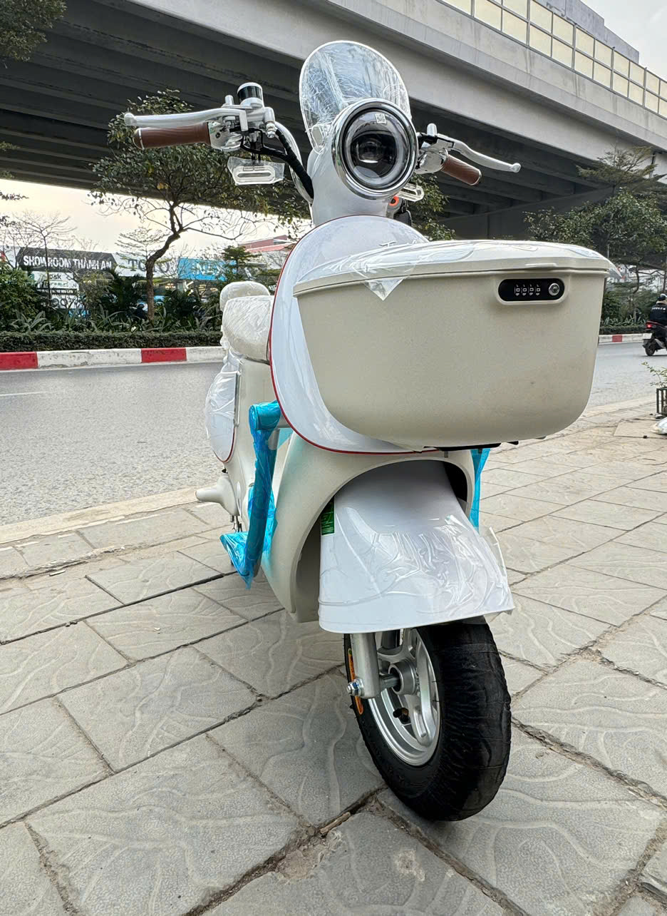 Xe Đạp Điện Tailg GR54 Đầy Đủ Giấy Tờ