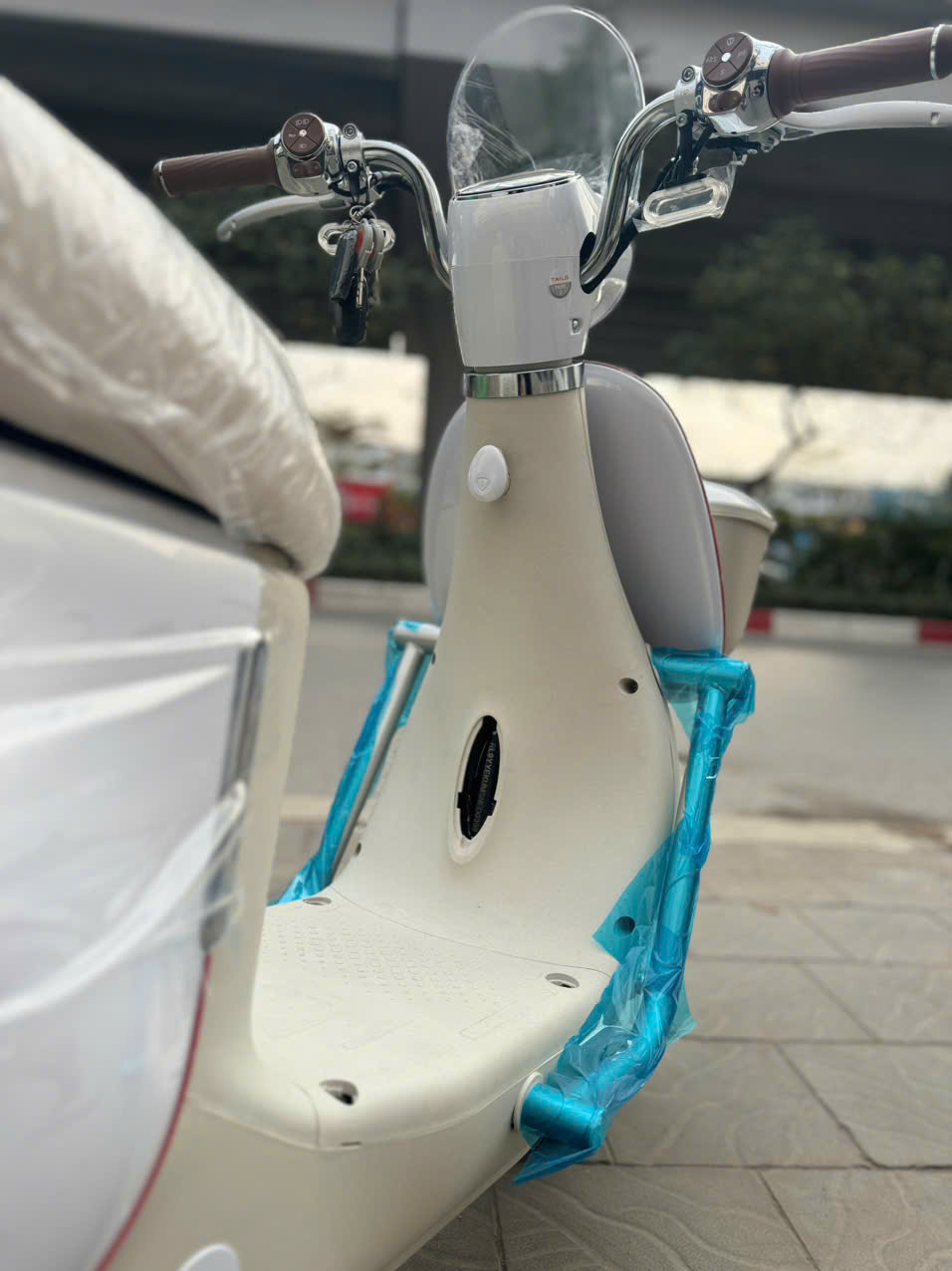 Xe Đạp Điện Tailg GR54 Đầy Đủ Giấy Tờ