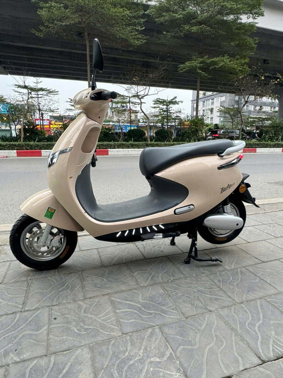 Người dân được chính phủ khuyến khích dùng giao thông công cộng và xe điện, hạn chế tiêu thụ xăng dầu