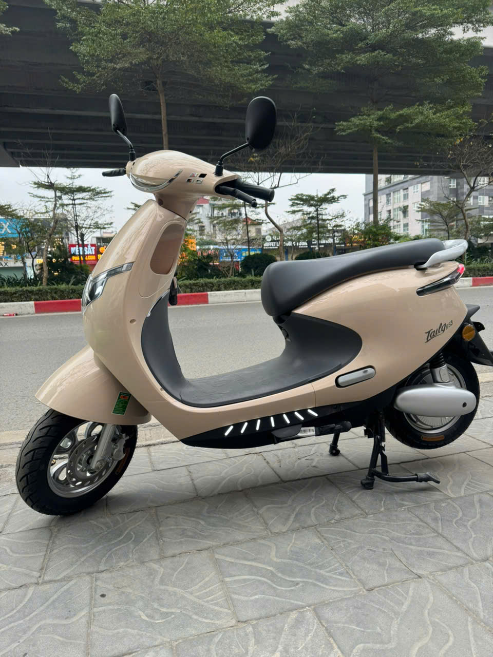 Xe điện Tailg R53 bứt phá 100 chặng thử thách khắc nghiệt tại Việt Nam