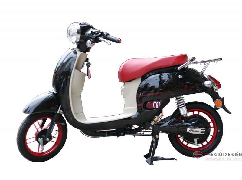 XE ĐIỆN GIANT M186 - màu đen
