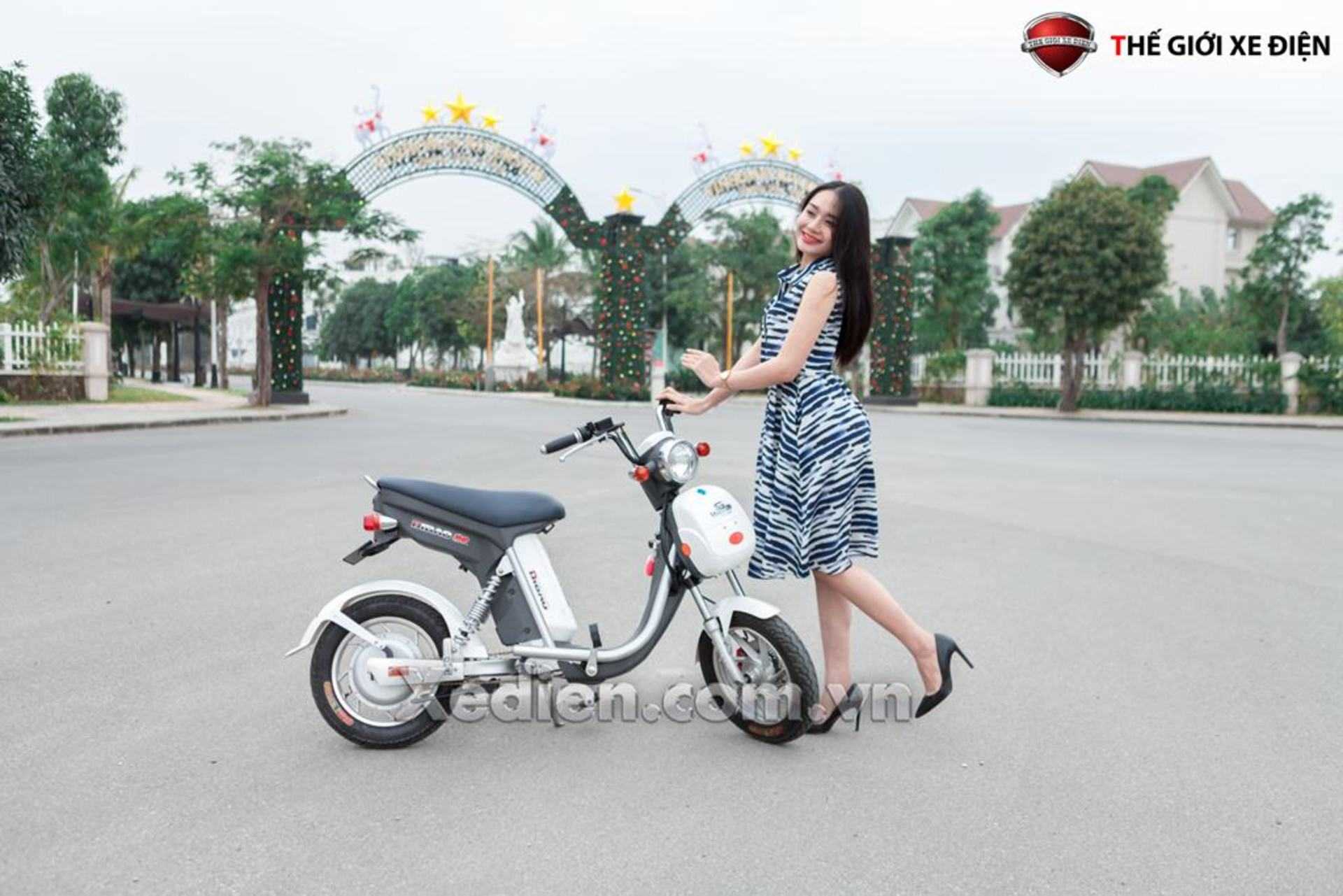 Xe đạp điện Ninja xe Nijia phanh đĩa đồng hồ điện tử 2016