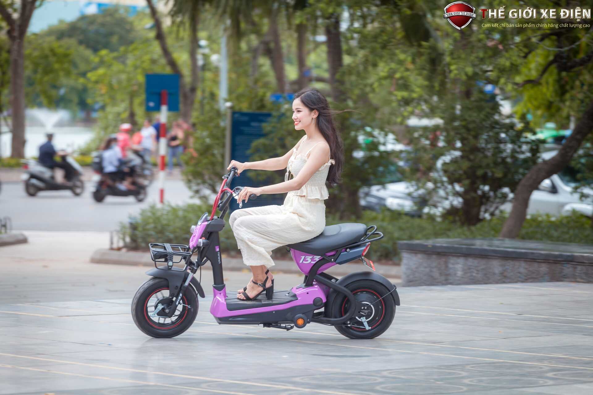 Xe Đạp Điện Giant M133P Plus Phanh Cơ