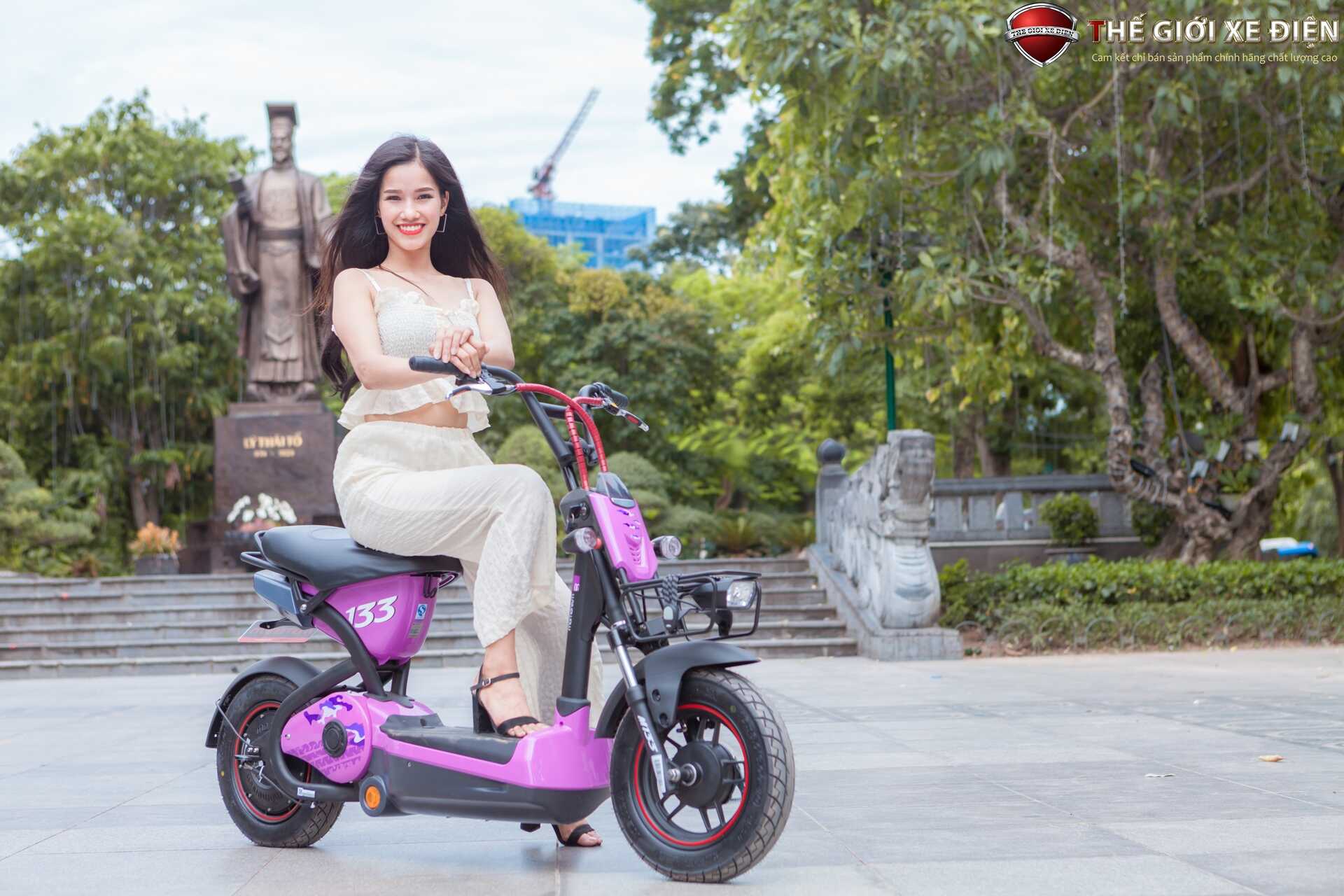 Xe Đạp Điện Giant M133P Plus Phanh Cơ