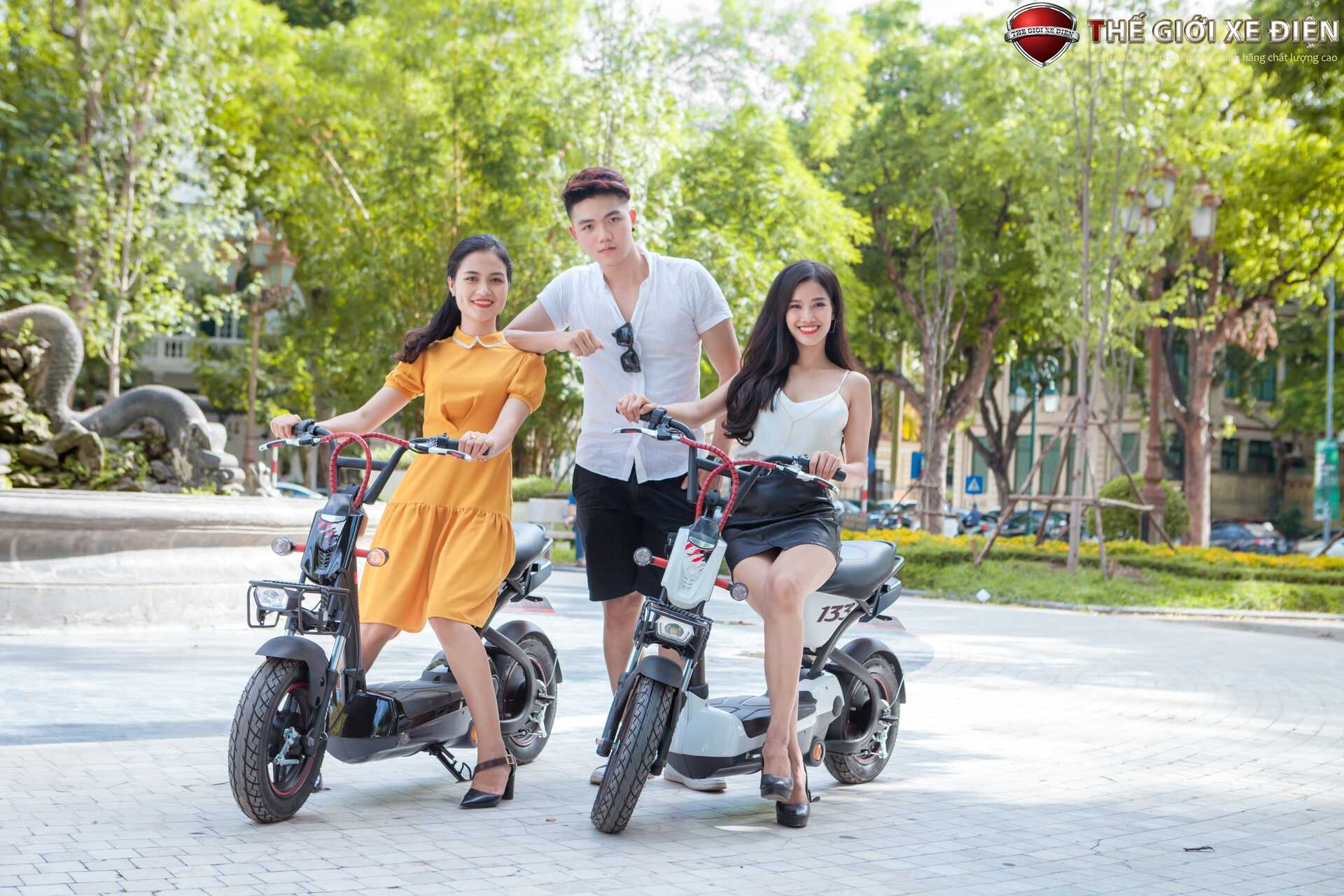 Xe Đạp Điện Giant M133P Plus Phanh Cơ