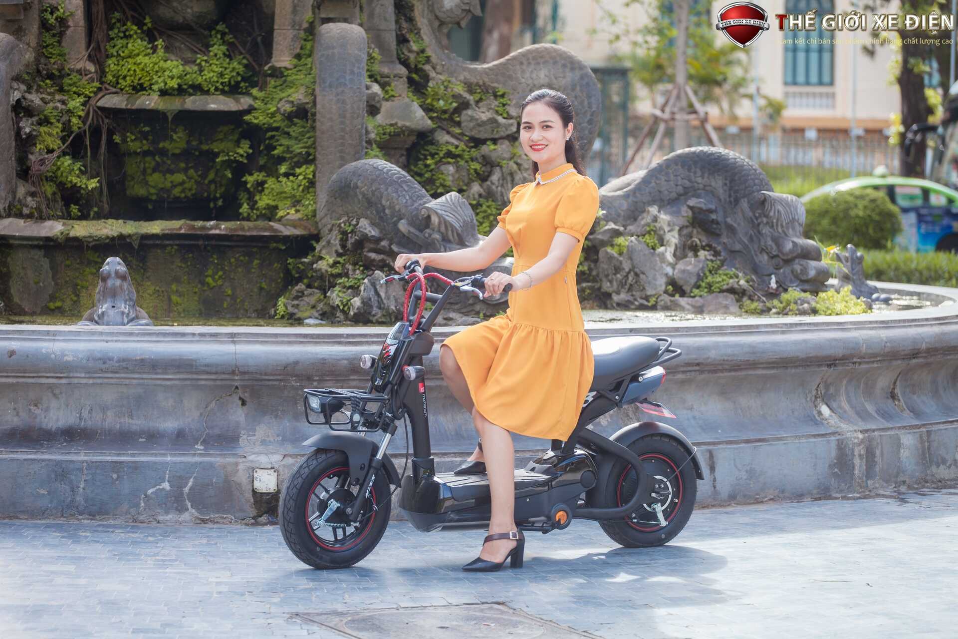 Xe Đạp Điện Giant M133P Plus Phanh Cơ