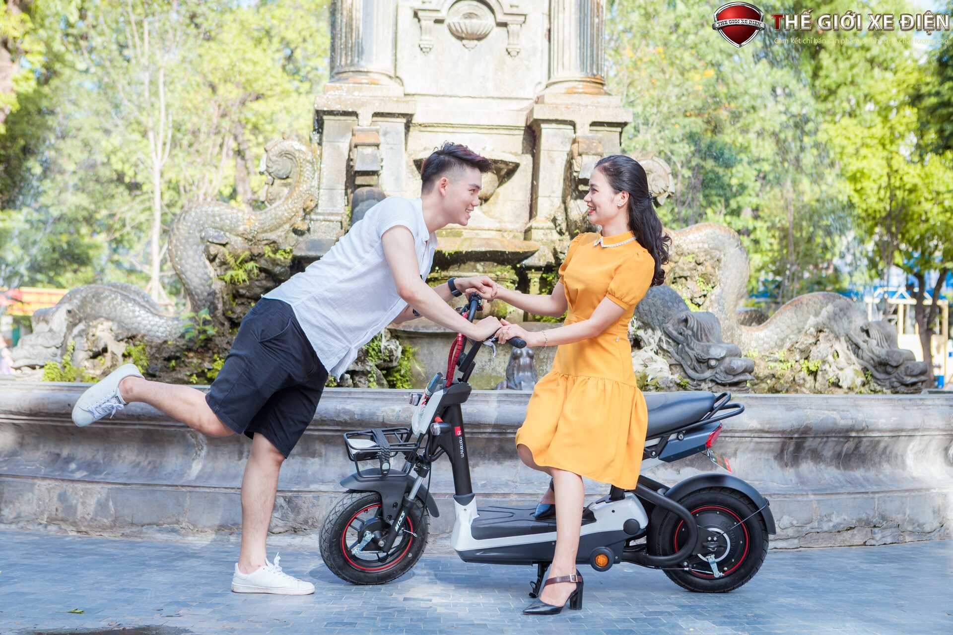 Xe Đạp Điện Giant M133P Plus Phanh Cơ