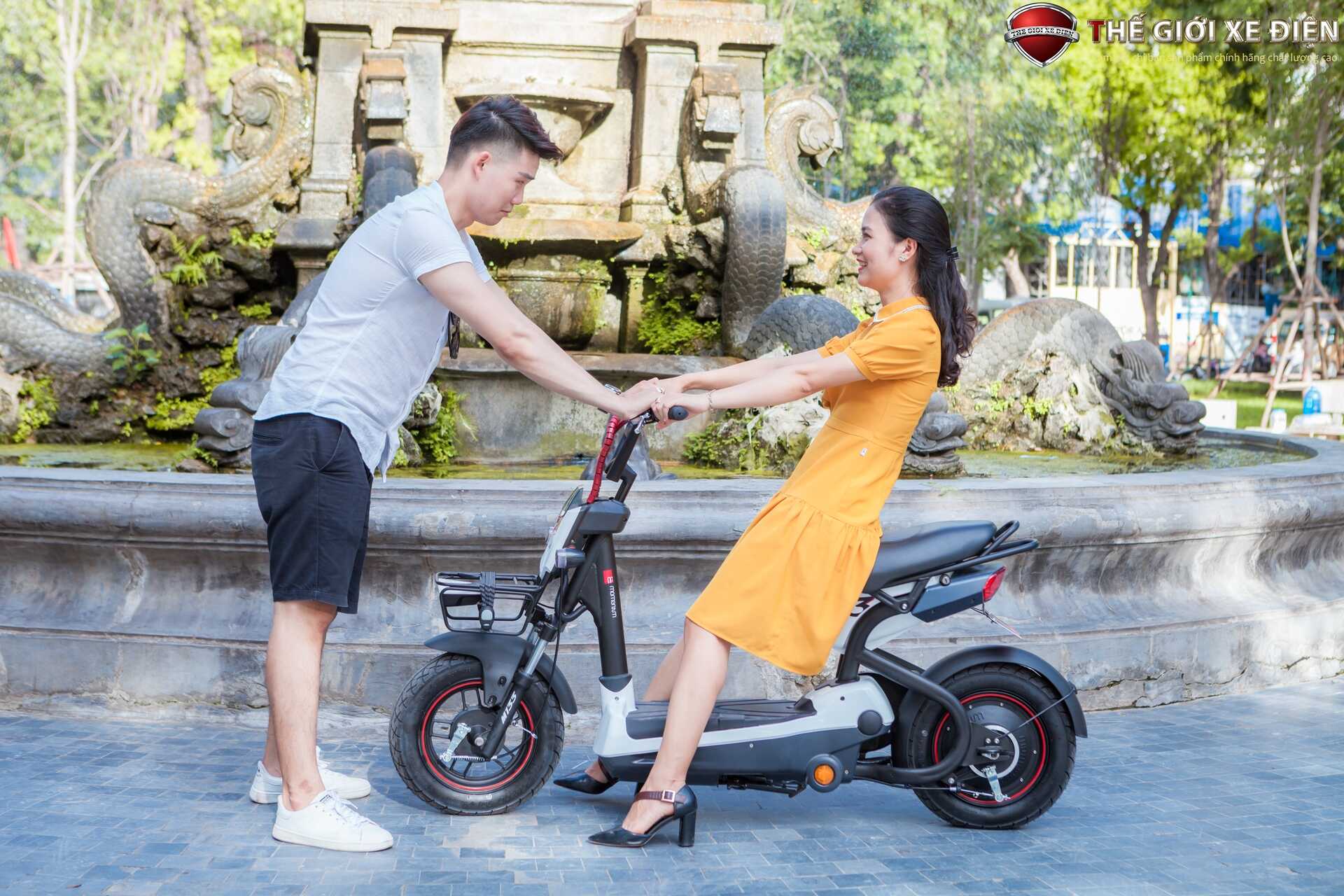 Xe Đạp Điện Giant M133P Plus Phanh Cơ