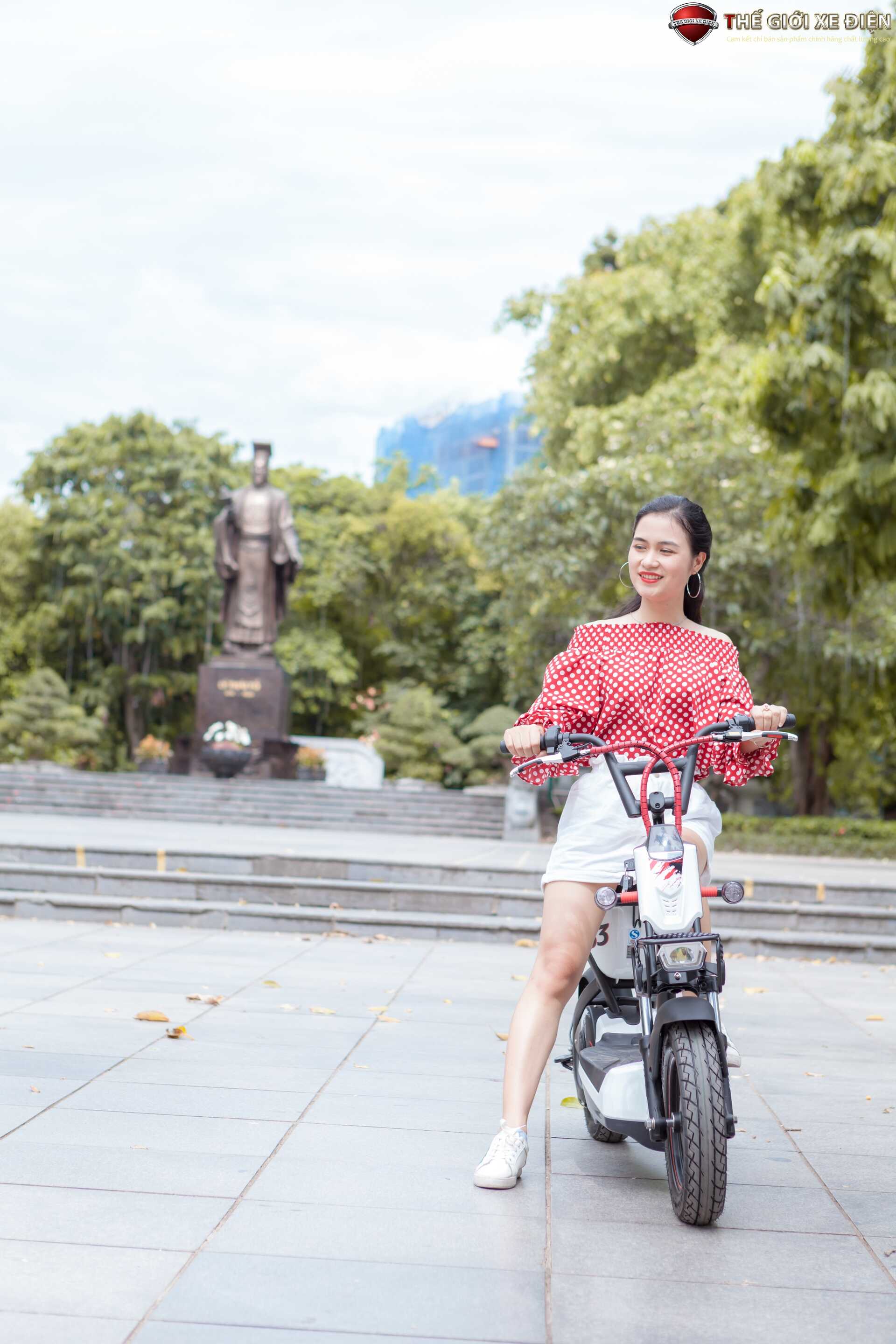 Xe Đạp Điện Giant M133P Plus Phanh Cơ
