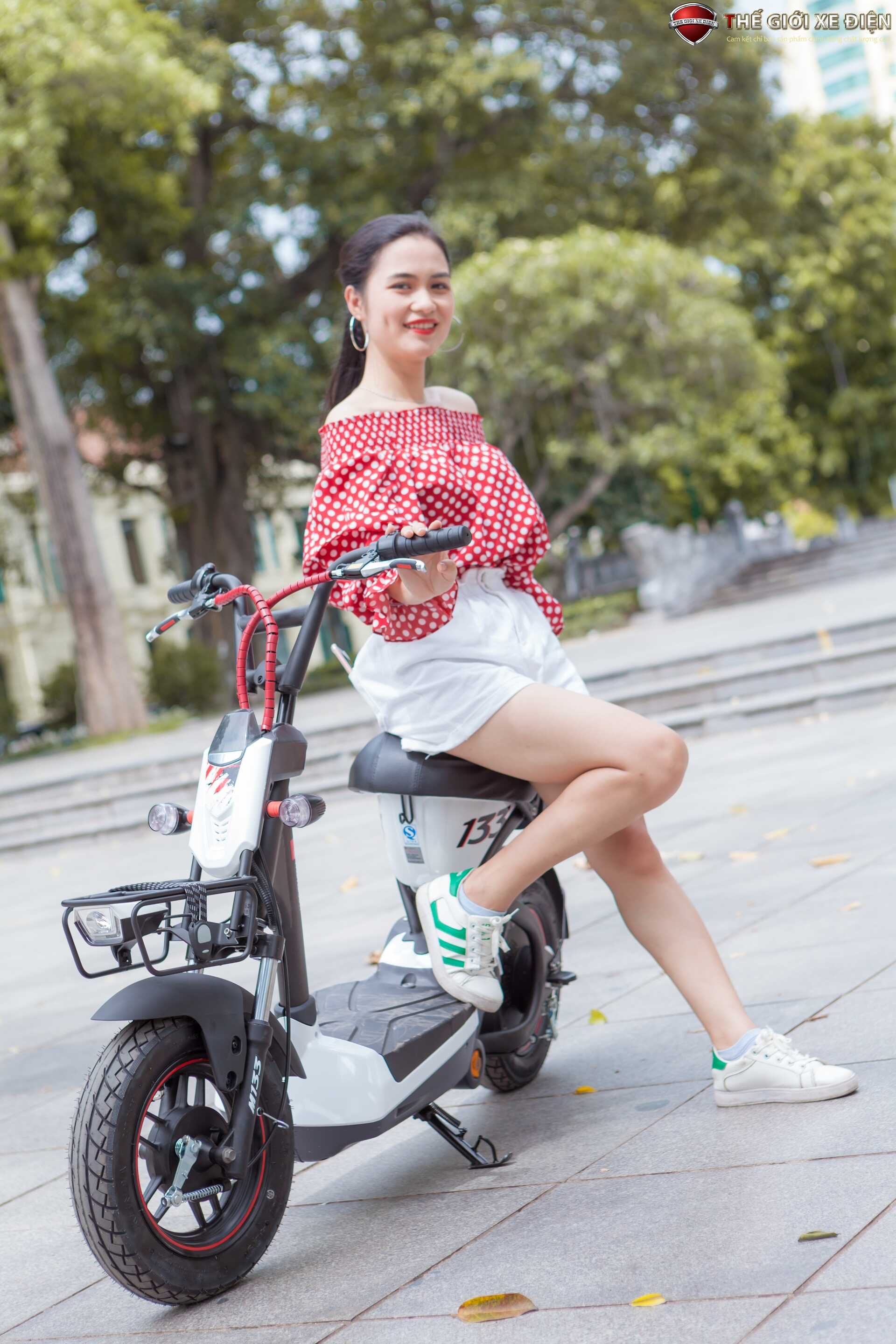 Xe Đạp Điện Giant M133P Plus Phanh Cơ