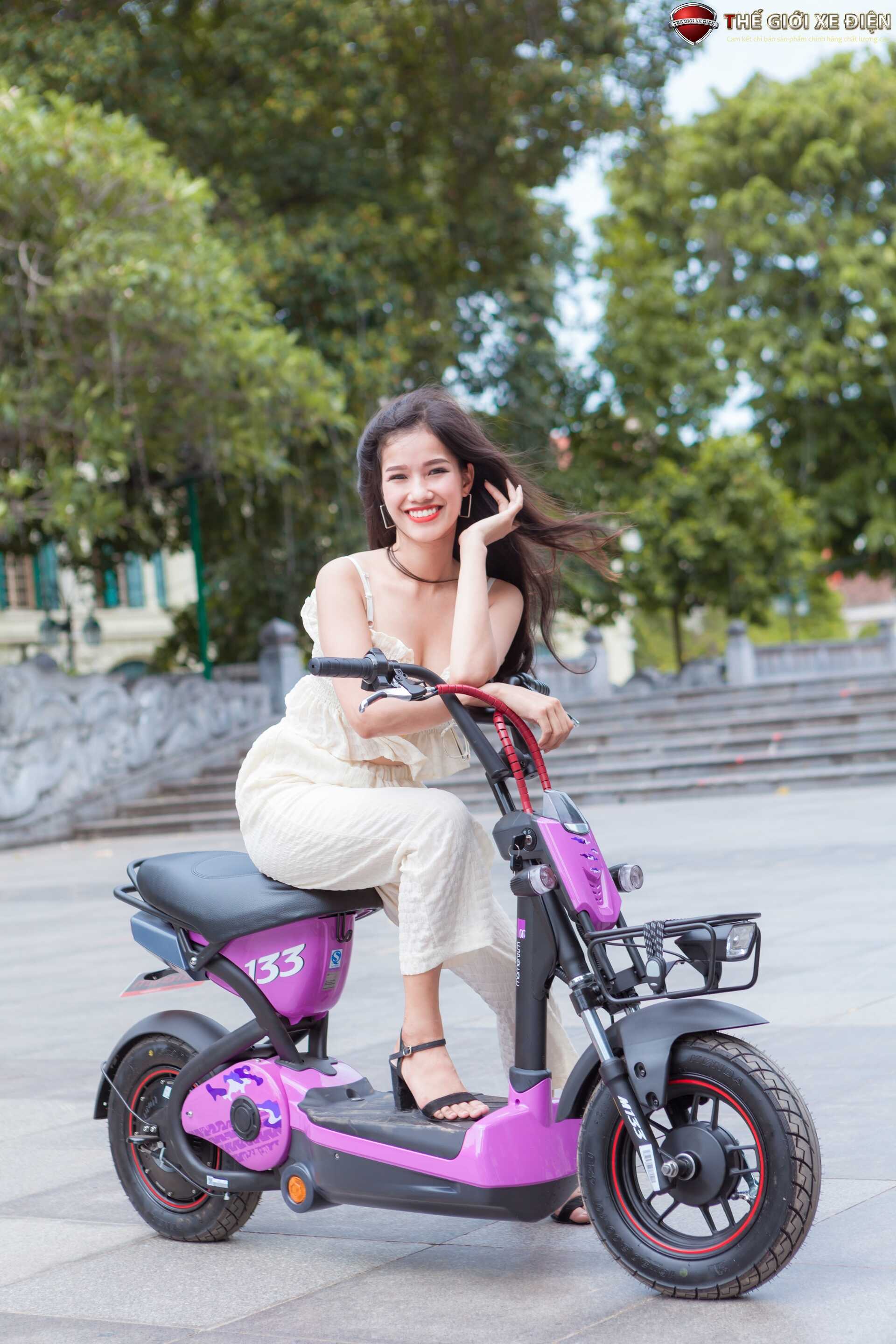 Xe Đạp Điện Giant M133P Plus Phanh Cơ