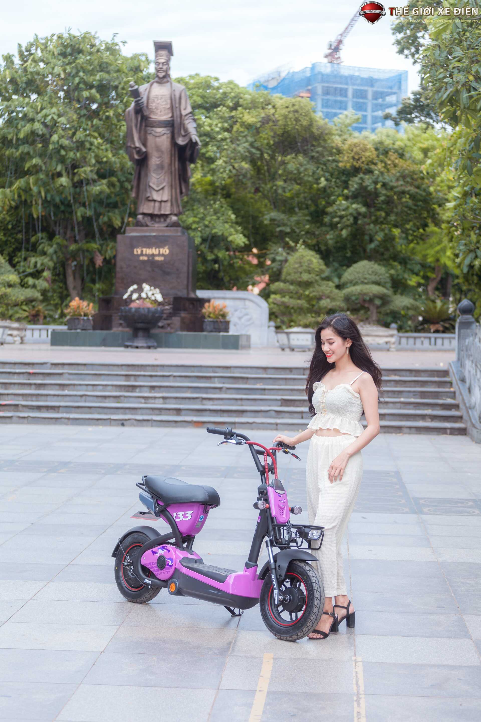 Xe Đạp Điện Giant M133P Plus Phanh Cơ