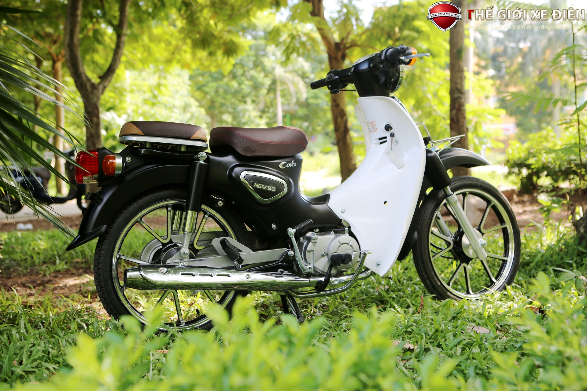 Xe Cub 50cc Honda Little Màu Xanh Ngọc | Cam Kết CHính Hãng