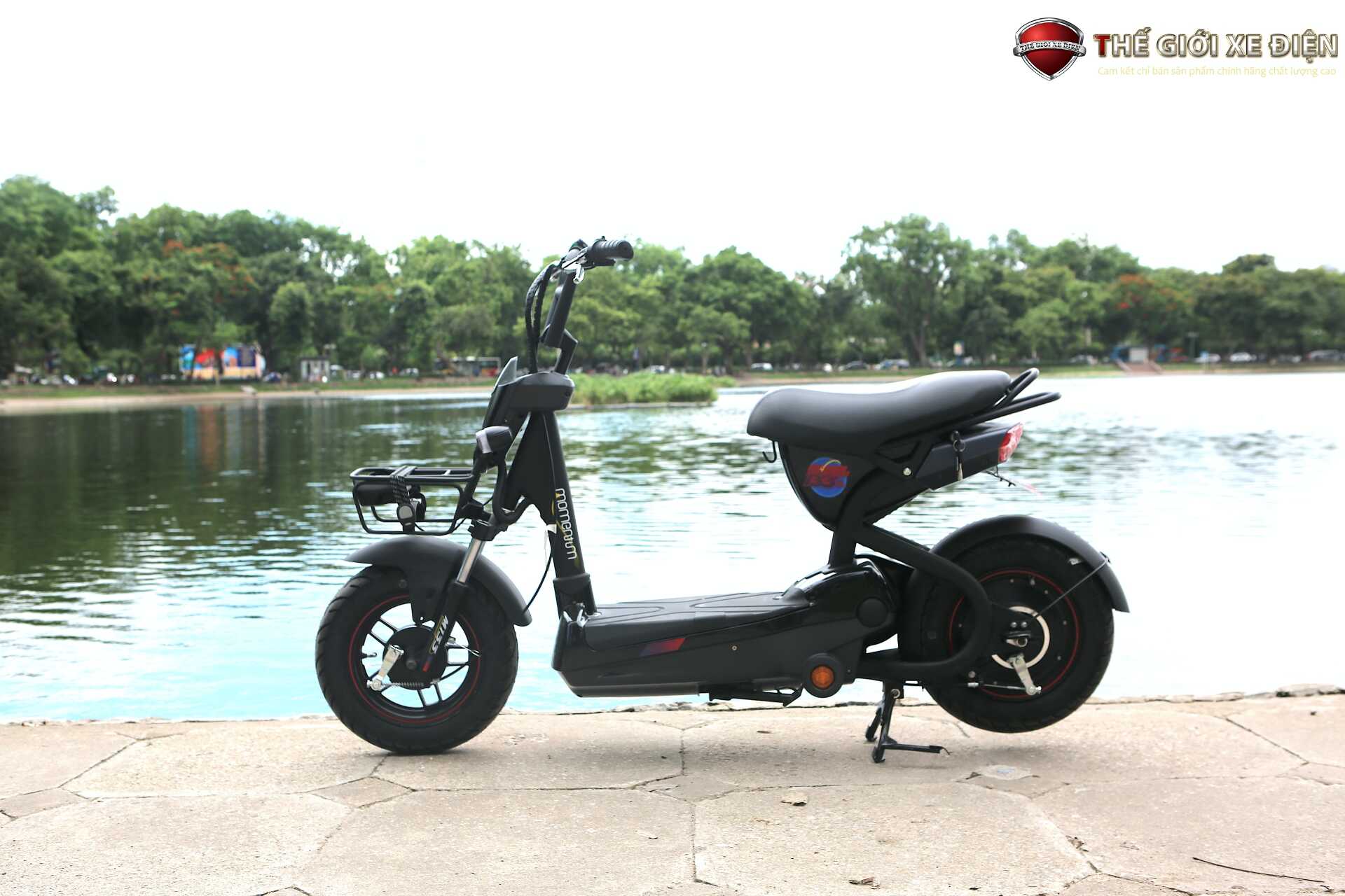 Xe Đạp Điện Giant M133P Plus Phanh Cơ