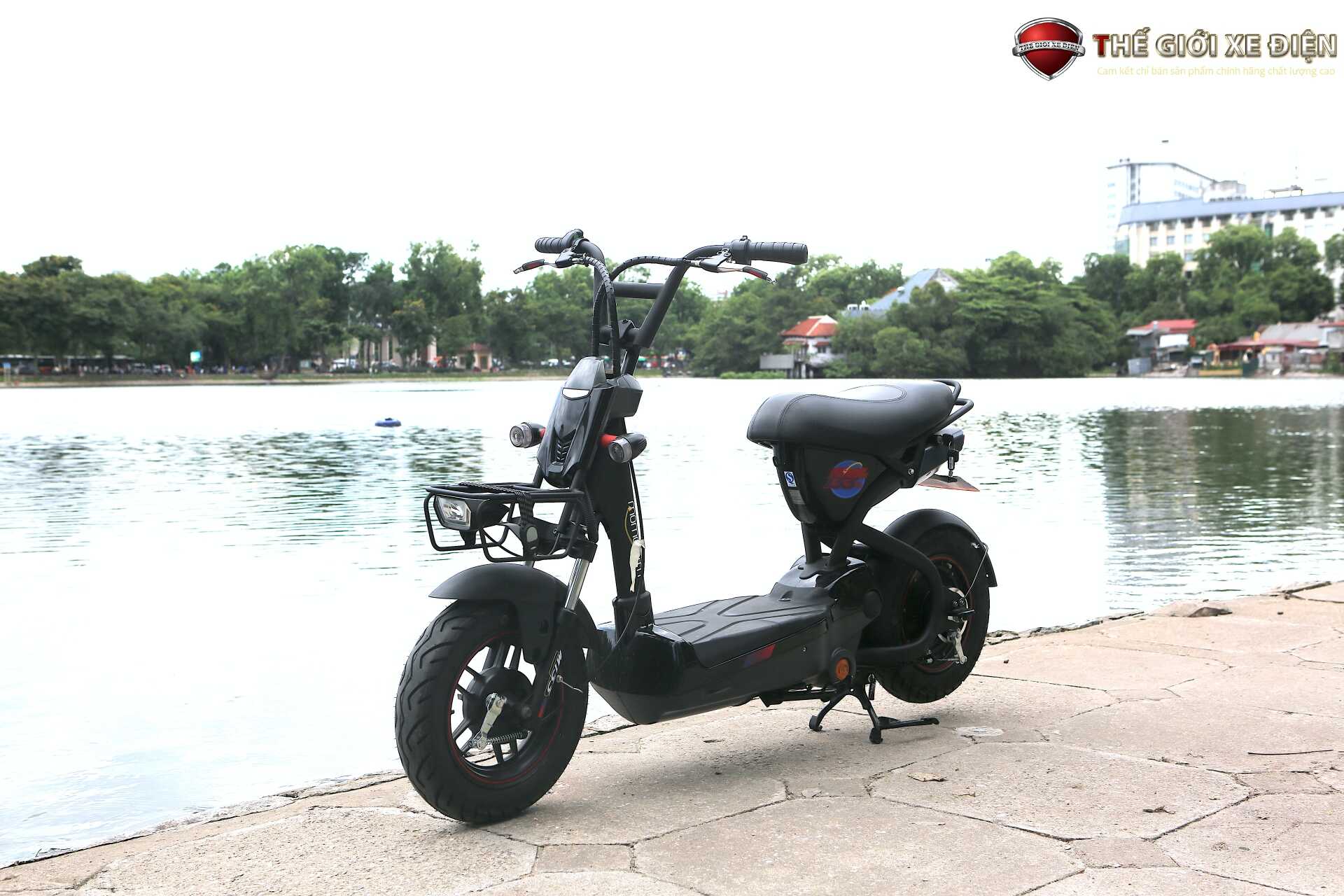 Xe Đạp Điện Giant M133P Plus Phanh Cơ