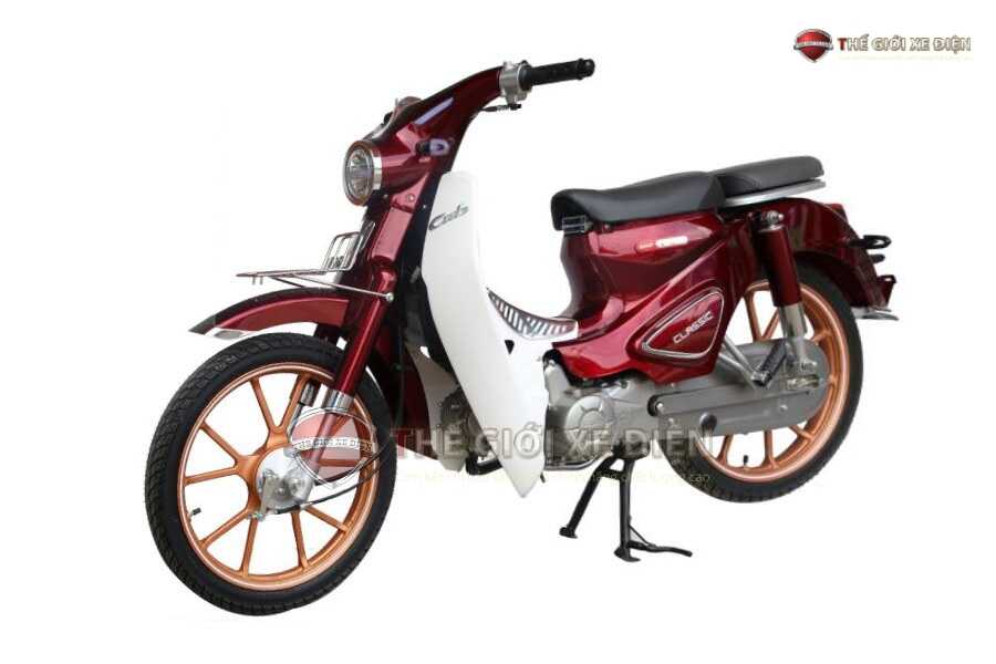 Những Mẫu Xe CUB Tốt Nhất Trên Thị Trường Hiện Nay