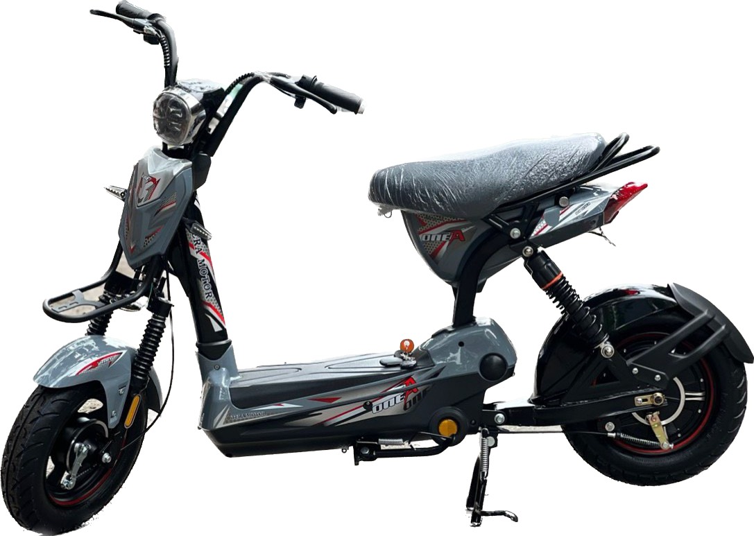xe đạp điện M133 Tera Motor Việt Nhật