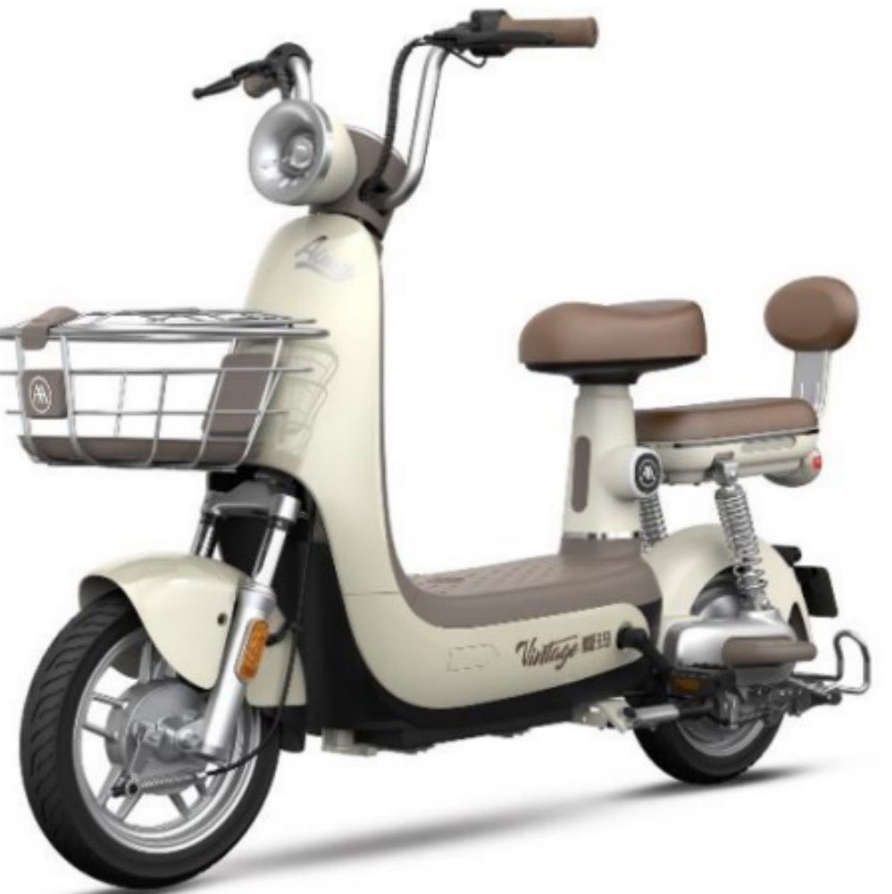 Xe Đạp Điện Aima Vintage Aura 2 Nhập Khẩu Chính Hãng