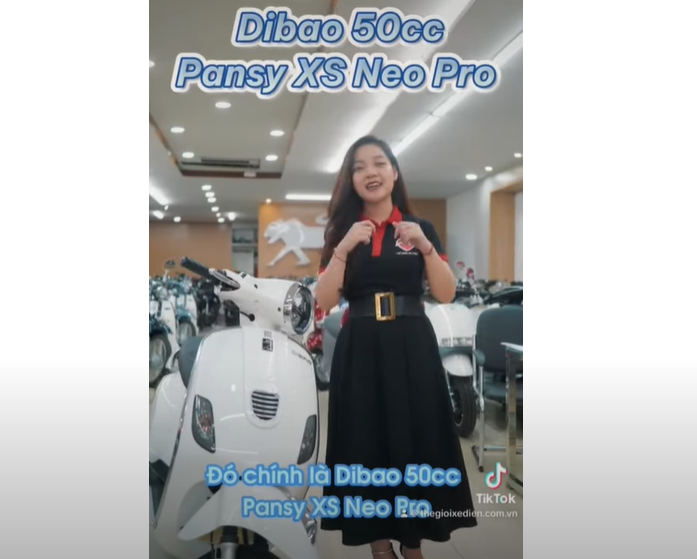 Dibao Pansy XS 50cc Mẫu Xe Không Cần Bằng Lái