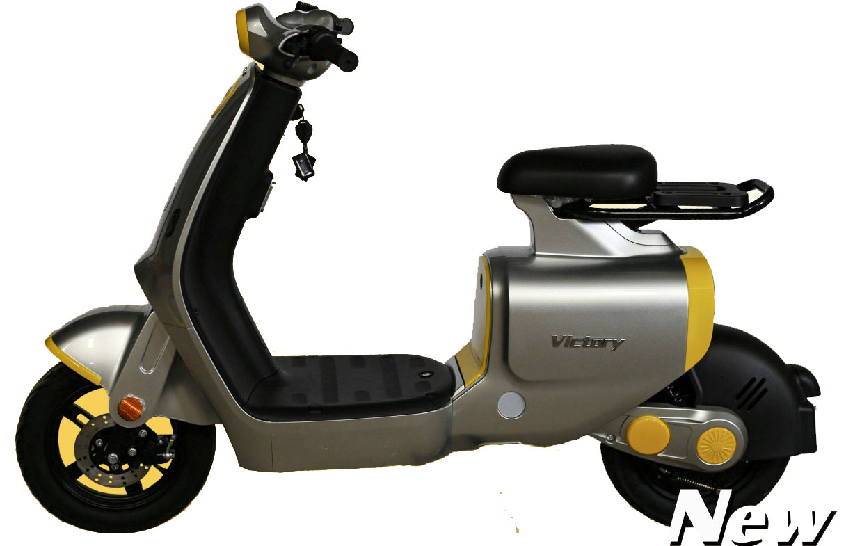 Xe Đạp Điện E-Bike Victoria Đời Mới - Mở Khóa Thẻ Từ