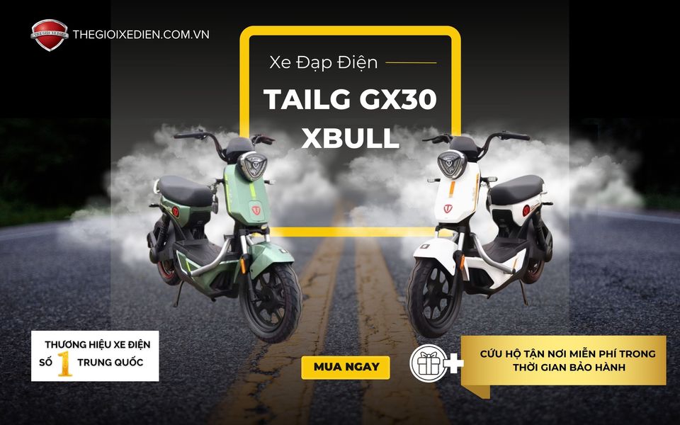 Xe Đạp Điện Tailg GX30 Xbull Chính Hãng (Đầy Đủ Giấy Tờ)