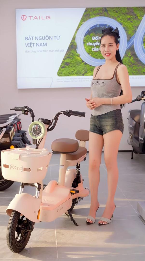 Xe Đạp Điện Tailg JY33 Nhỏ Gọn Đầy Tiện Ích