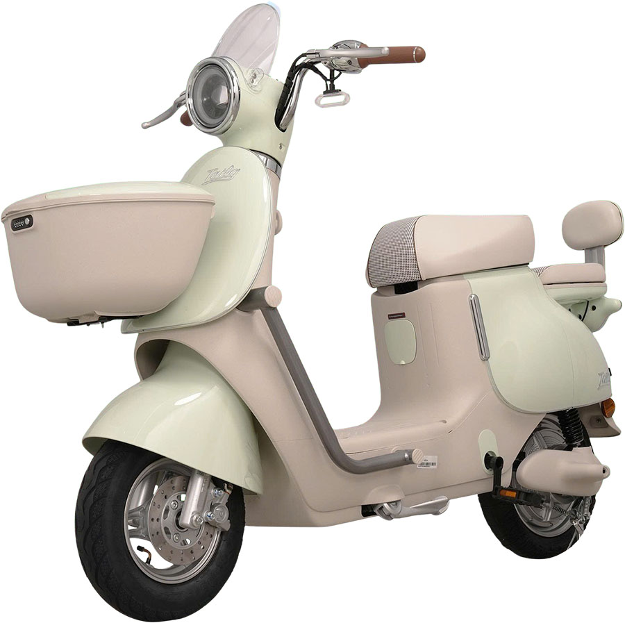 Xe Đạp Điện Tailg GR54 Đầy Đủ Giấy Tờ