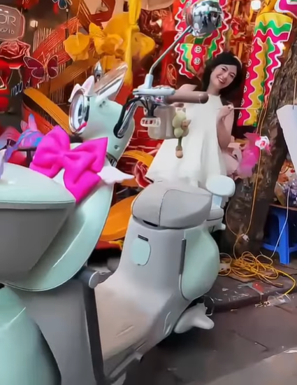 Xe Đạp Điện Tailg GR54 Đầy Đủ Giấy Tờ