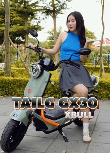 Xe Đạp Điện Tailg GX30 Plus Xbull Chiến Binh Đường Phố Nhỏ Gọn